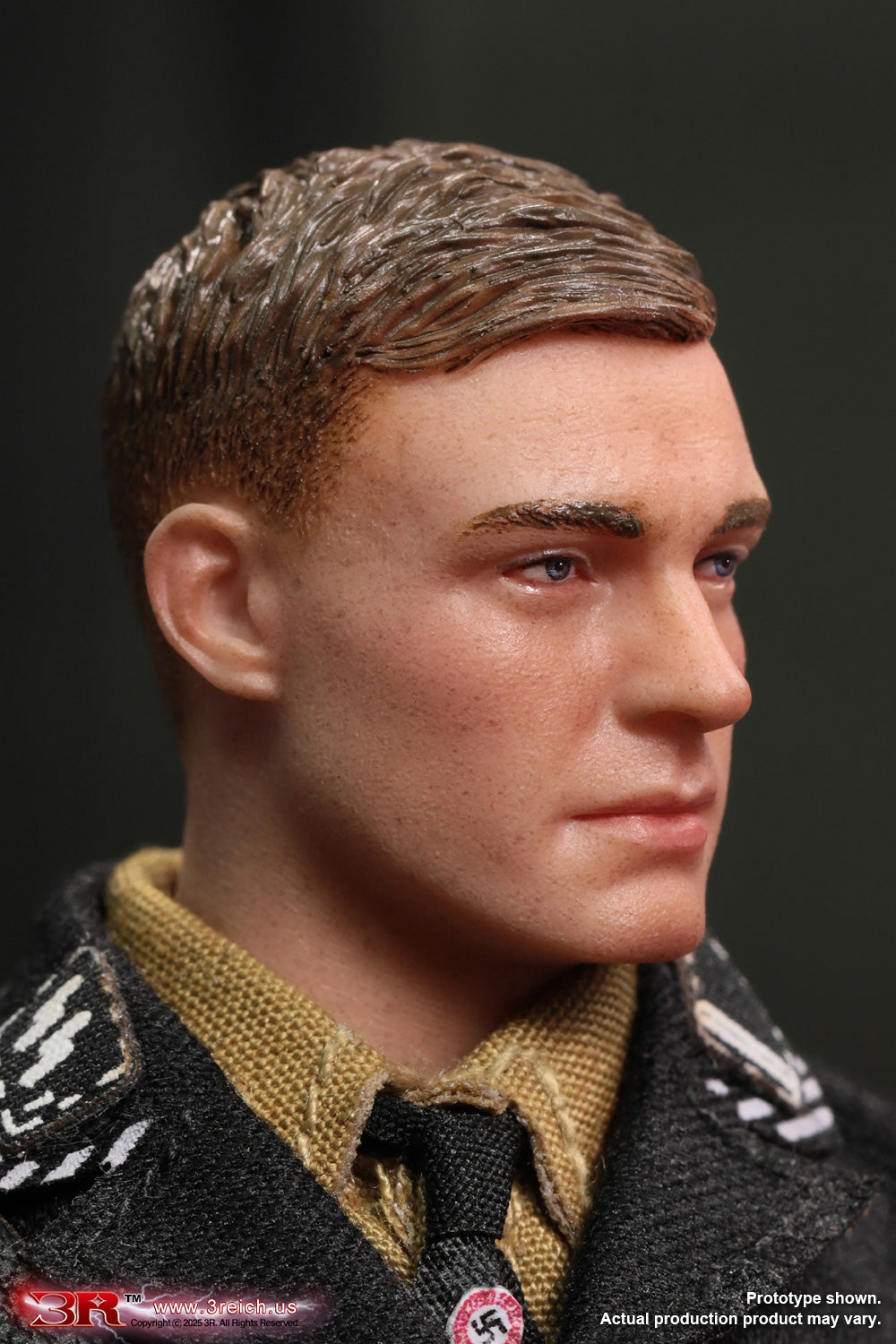 1/12 Scale WWII German SS Honor Guard Archard - NIB DID 3R TG80005