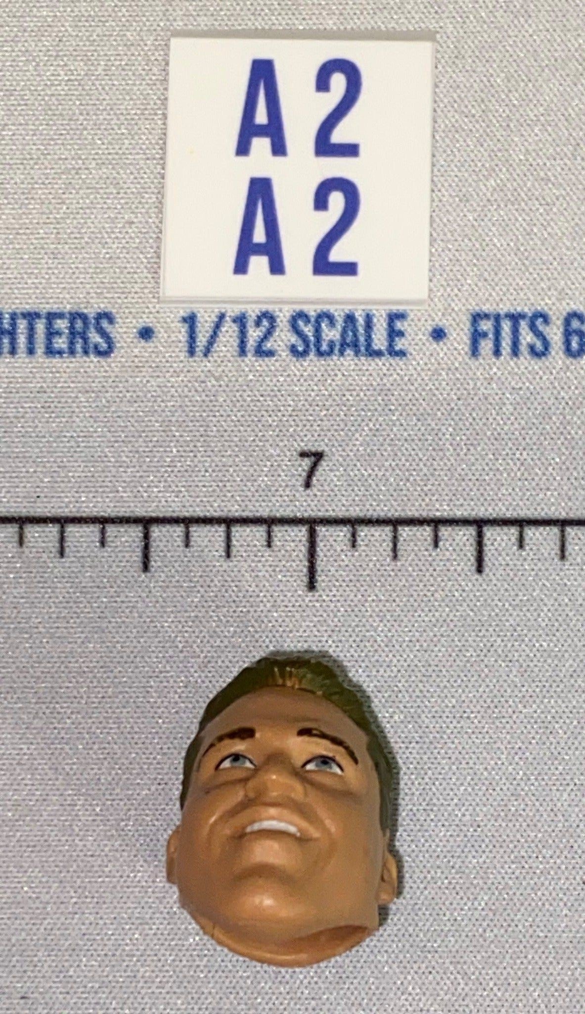 1/12 Scale Head Sculpt - Male - Mattel WWE