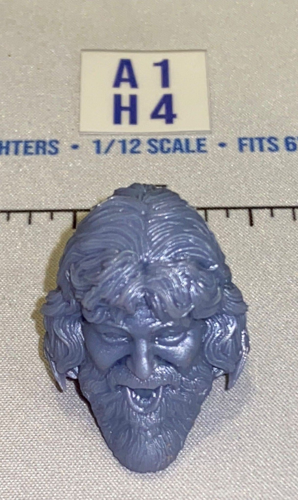 1/12 Scale Unpainted Male Head Sculpt with Long Hair and Beard