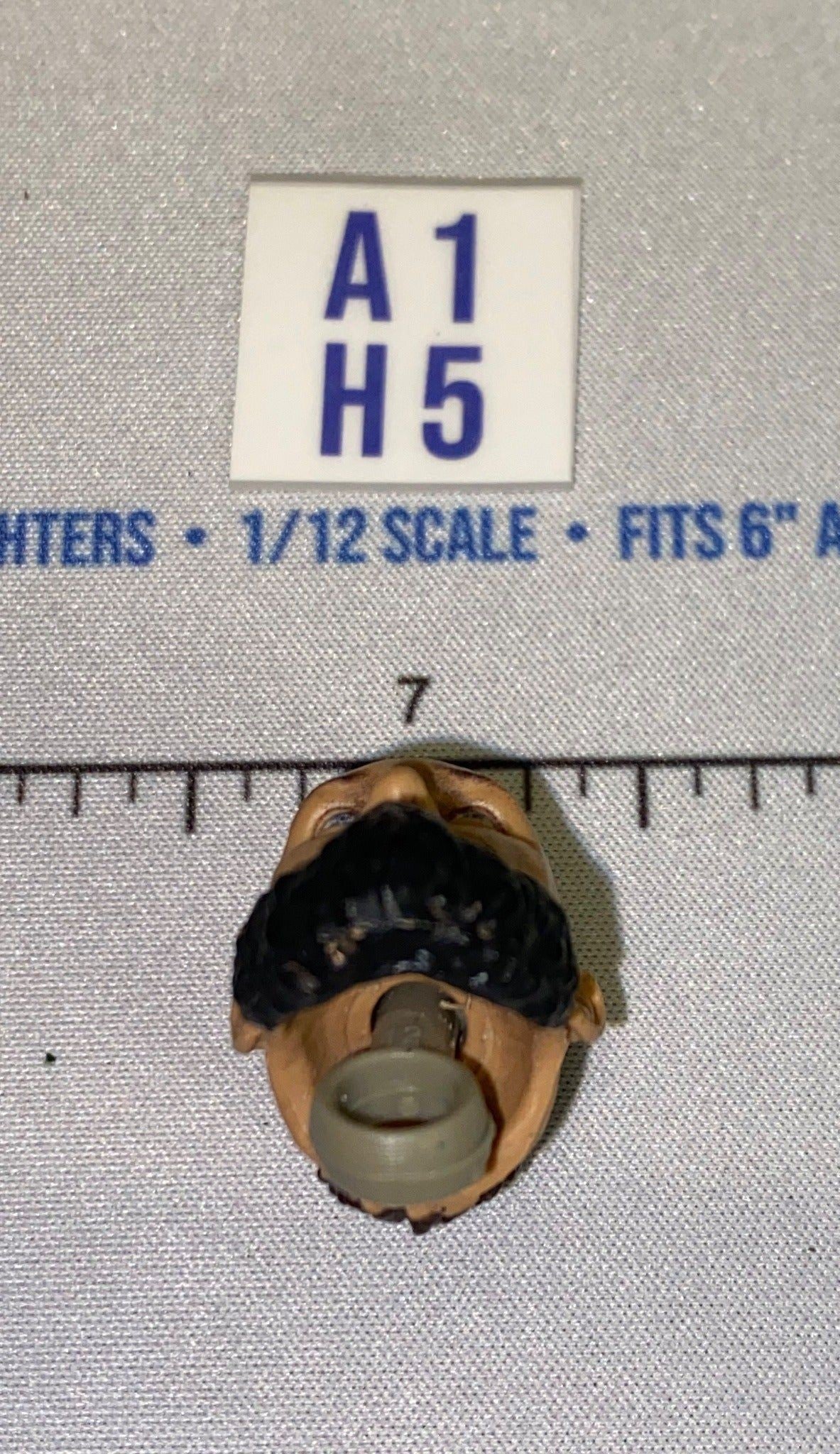 1/12 Scale Male Head Sculpt with Black Beard and Braided Hair - Mattel WWE