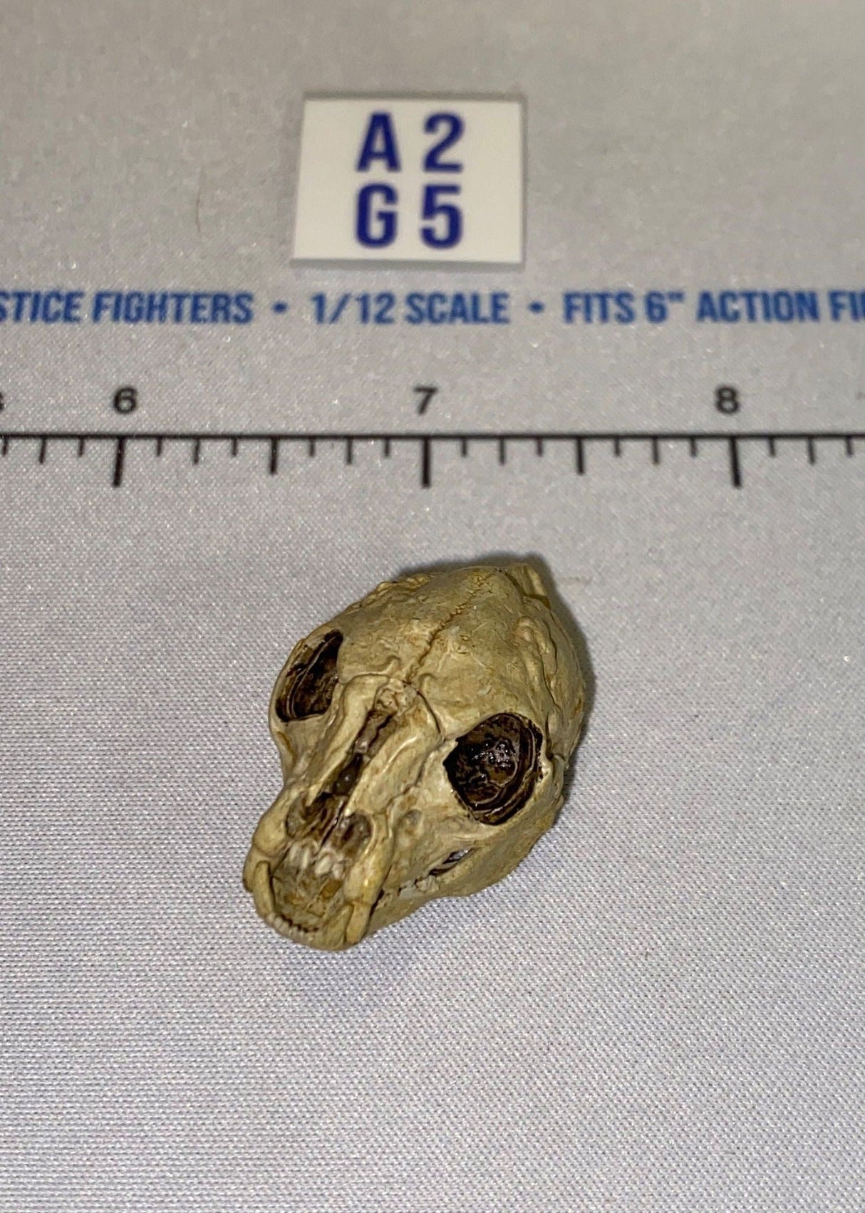 1/12 Scale Primate Skull Head Sculpt - Four Horsemen - Mythic Legions