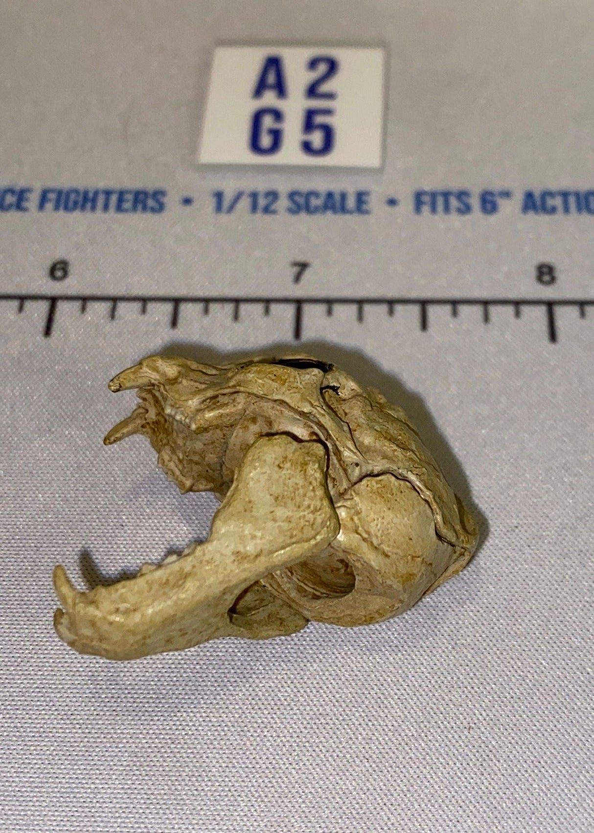 1/12 Scale Primate Skull Head Sculpt - Four Horsemen - Mythic Legions