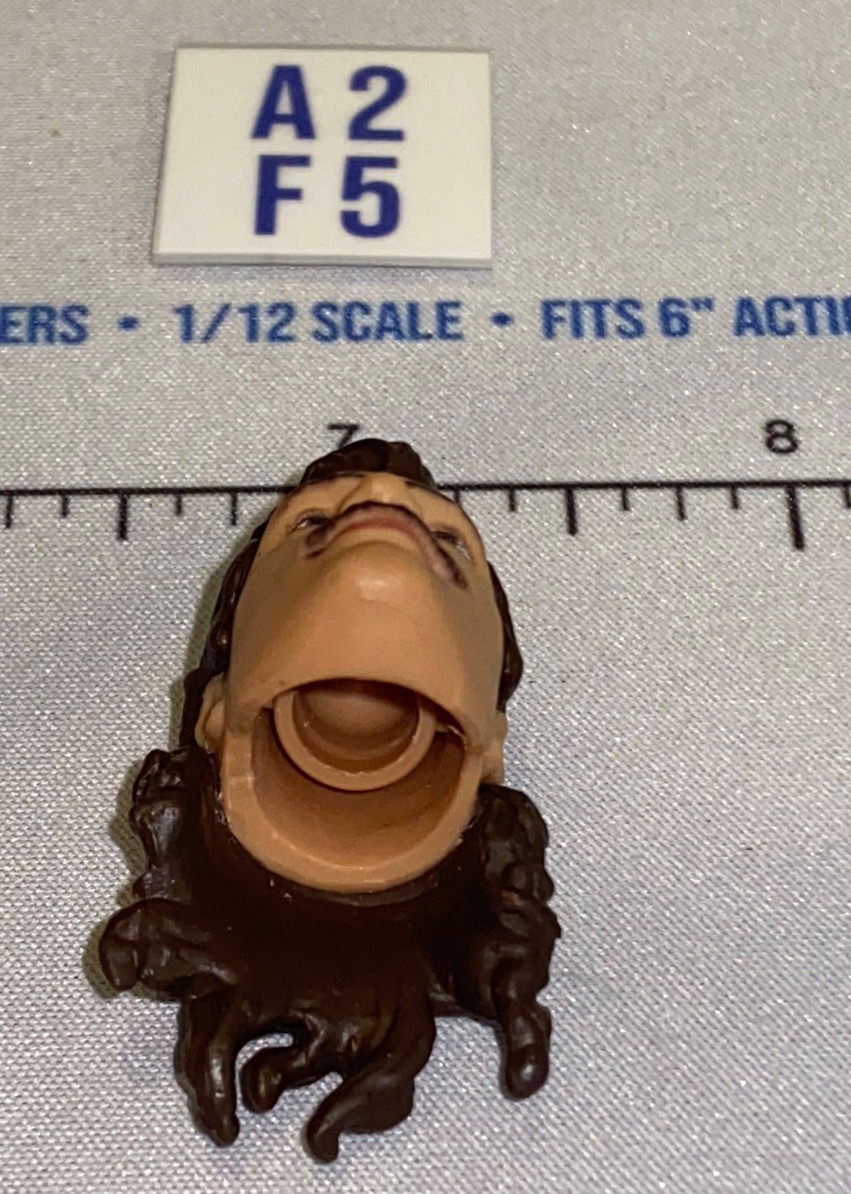 1/12 Scale Male Head Sculpt with Long Dark Hair and Mustache - Mattel WWE