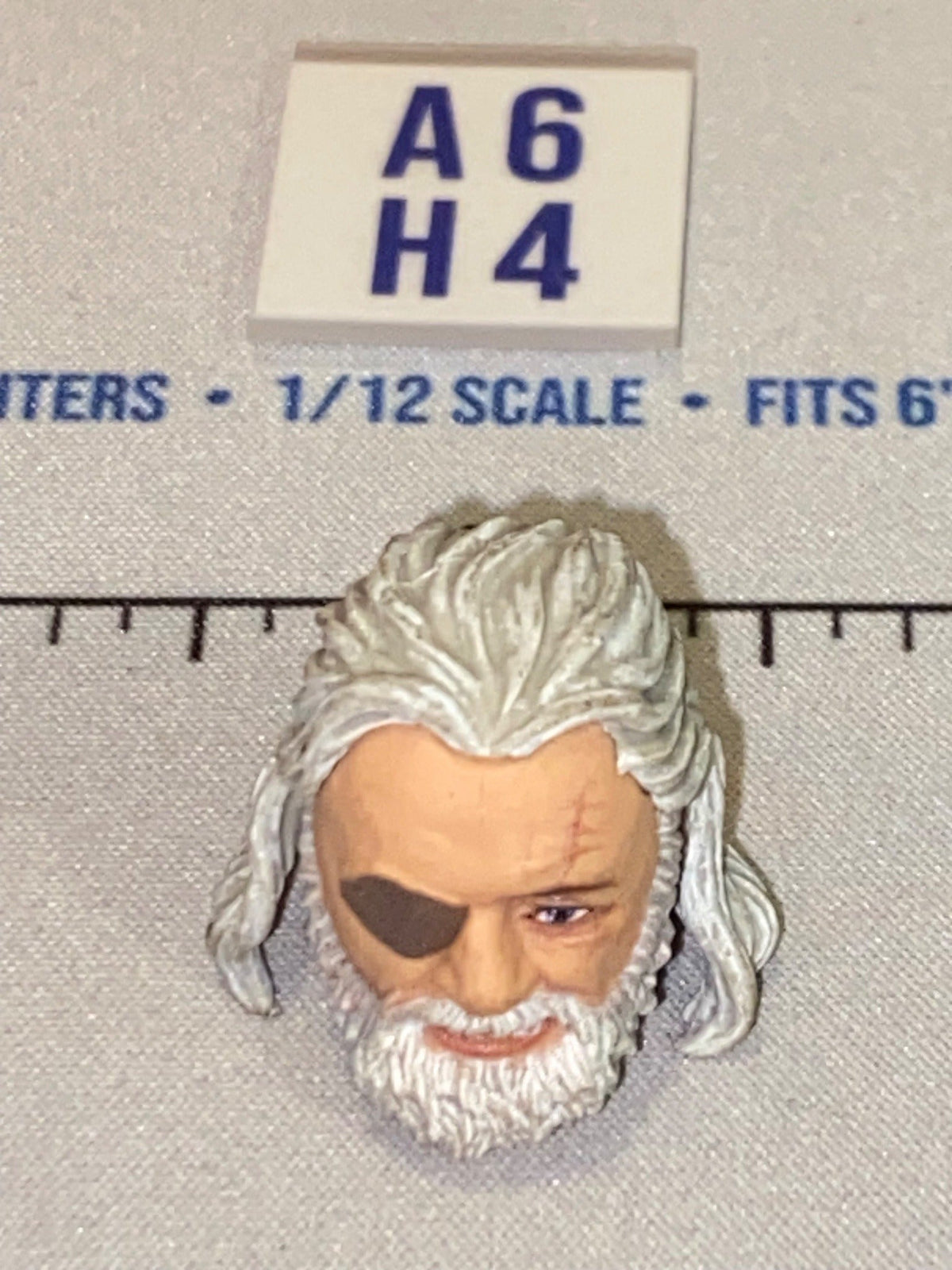 1/12 Scale Male Head Sculpt with Gray Hair, Beard and Eye Patch