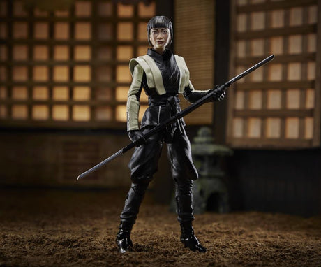 G.I. Joe Classified Series #18 Akiko