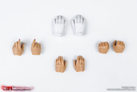 1/12 Scale WWII German SS Honor Guard Aaron - NIB DID 3R TG80007