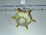 1/12 Scale Medieval Spiked Mace - Malice - Valaverse Action Force