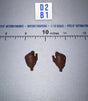 1/12 Scale Medieval Gauntlet Hands Pair - Thord Ironjaw 2 Dwarf - Mythic Legions Four Horsemen