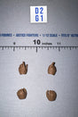 1/12 Scale WWII German Pointing Hands Set - WWII German SS Honor Guard Archard - DID 3R TG80005