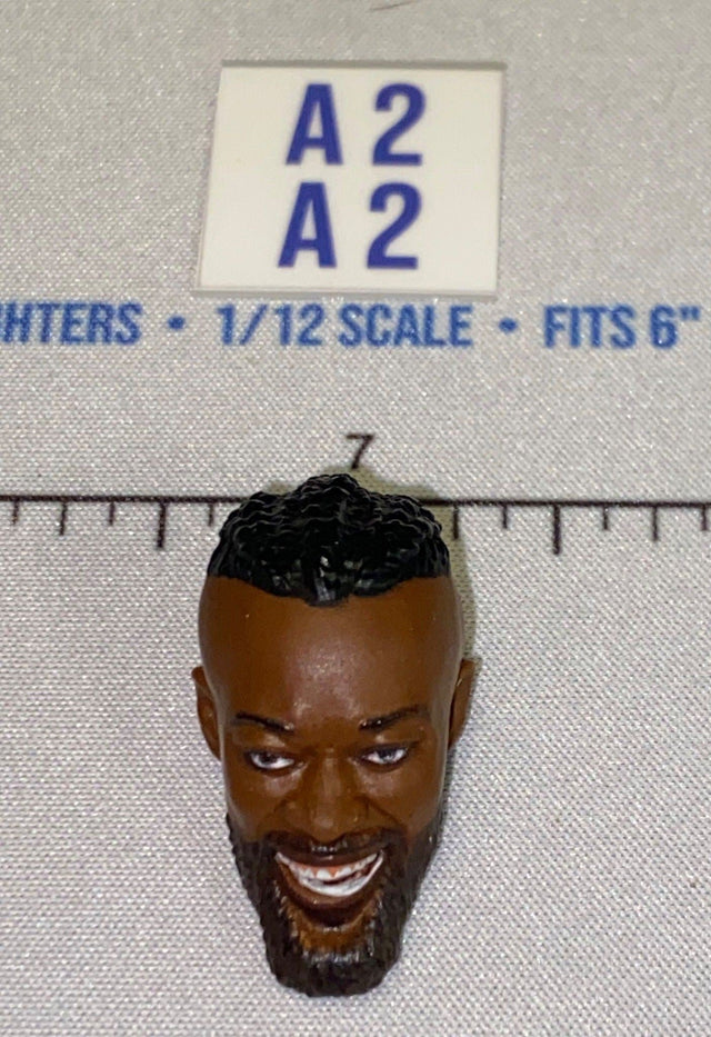 1/12 Scale Male Head Sculpt with Short Hair and Beard - Mattel WWE