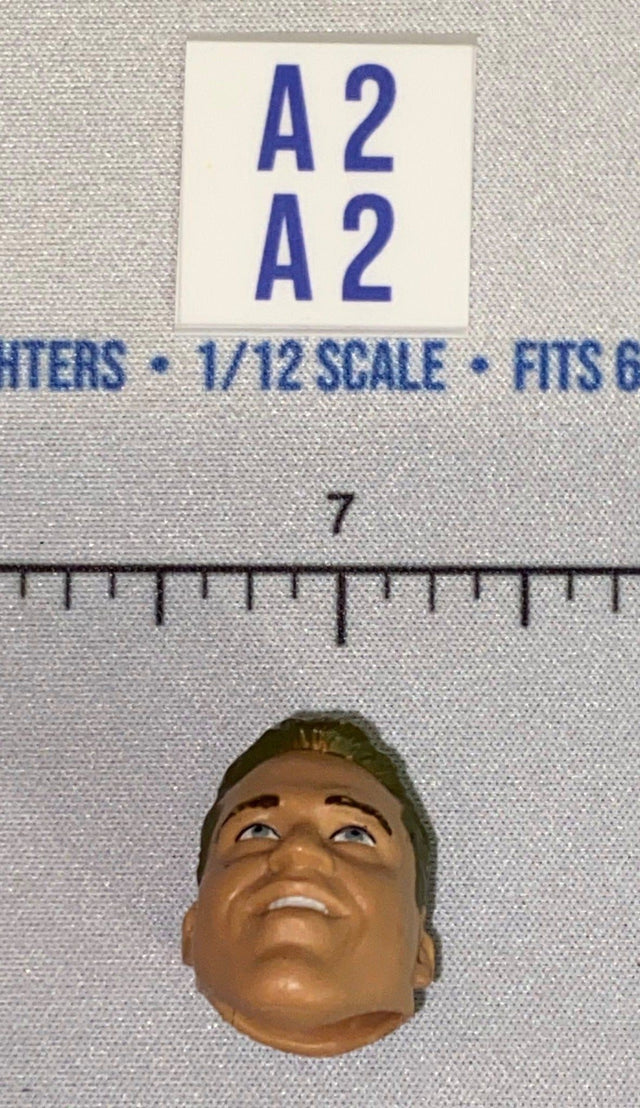 1/12 Scale Head Sculpt - Male - Mattel WWE