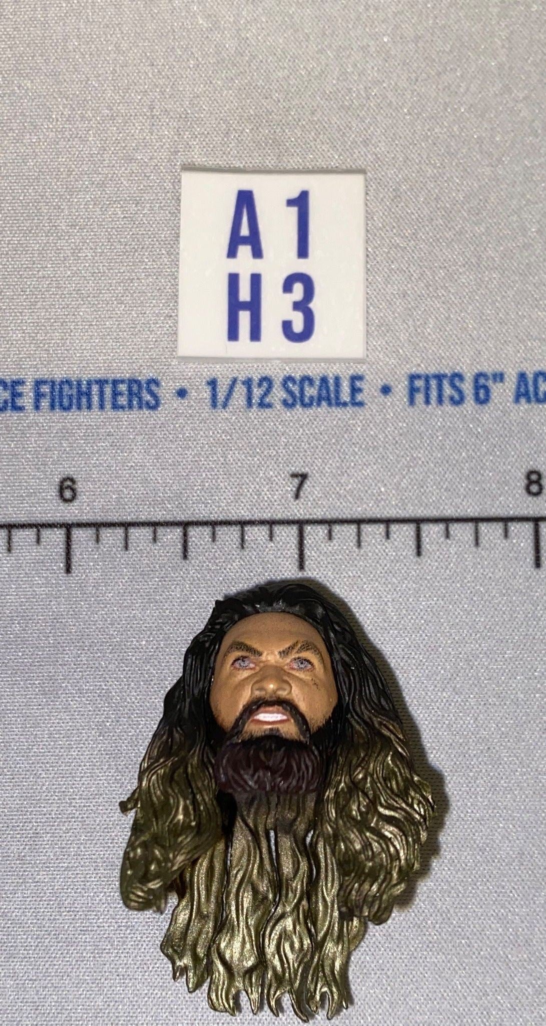 1/12 Scale Male Head Sculpt with Long Dark Hair and Beard - Mattel WWE