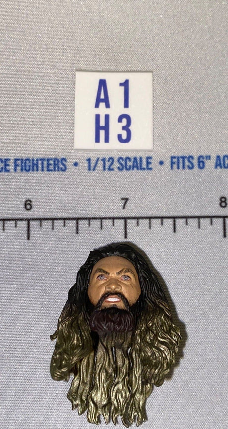 1/12 Scale Male Head Sculpt with Long Dark Hair and Beard - Mattel WWE
