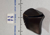 1/12 Scale Fantasy Medieval Helmet Head - Four Horsemen - Mythic Legions