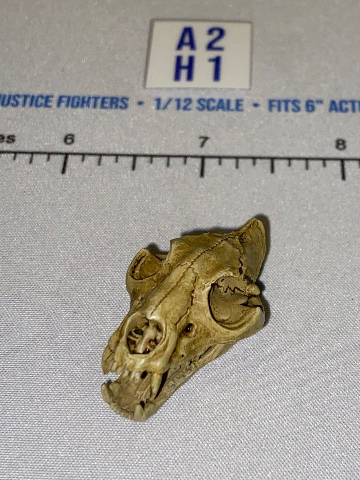 1/12 Scale Animal Skull Head Sculpt - Four Horsemen - Mythic Legions - Tan/Ivory