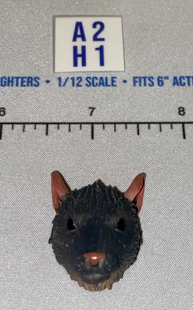 1/12 Scale Rat Head Sculpt, Dark Gray - Four Horsemen - Mythic Legions