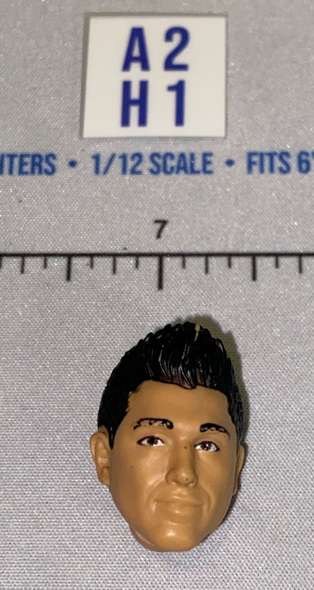 1/12 Scale Male Head Sculpt with Dark Hair - Smirking - Mattel WWE