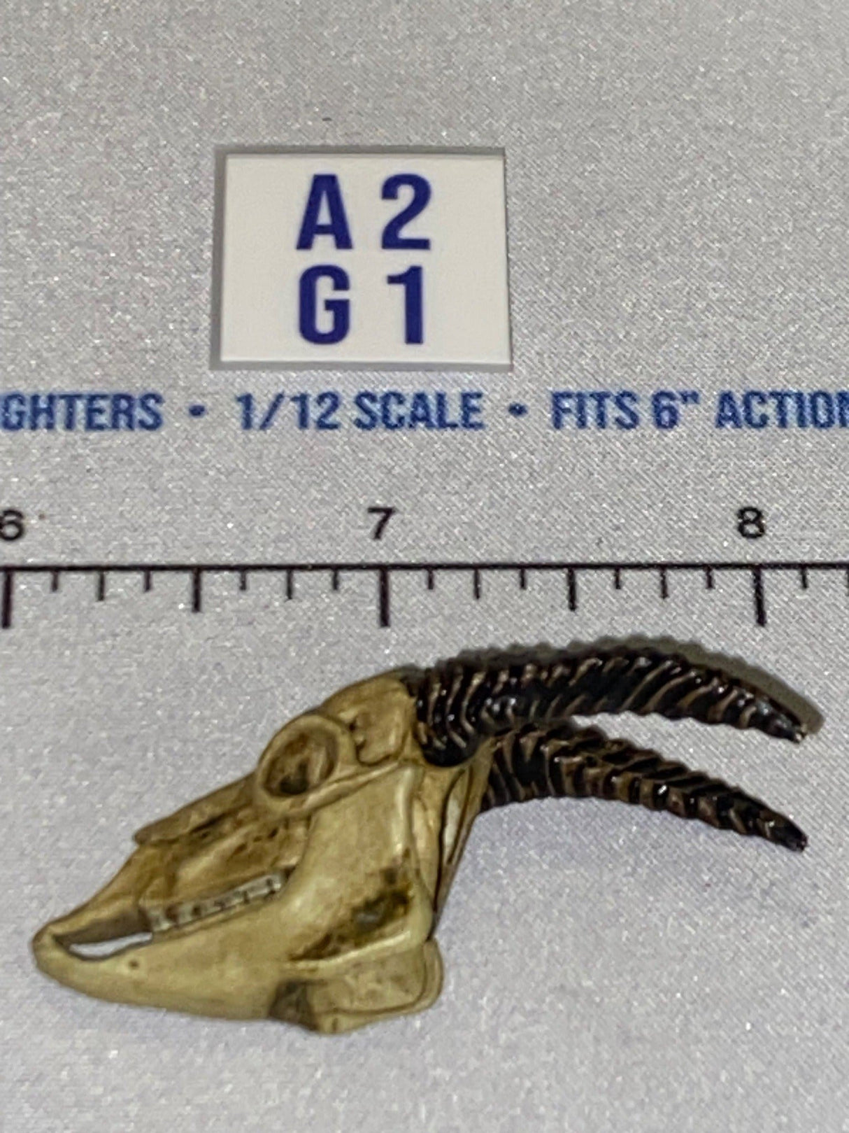 1/12 Scale Animal Skull with Horns Head Sculpt - Four Horsemen - Mythic Legions
