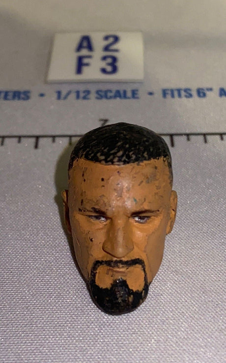 1/12 Scale Male Head Sculpt with Short Dark Hair and Goatee - Mattel WWE