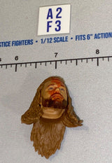 1/12 Scale Male Head Sculpt with Long Hair and Beard - Mattel WWE
