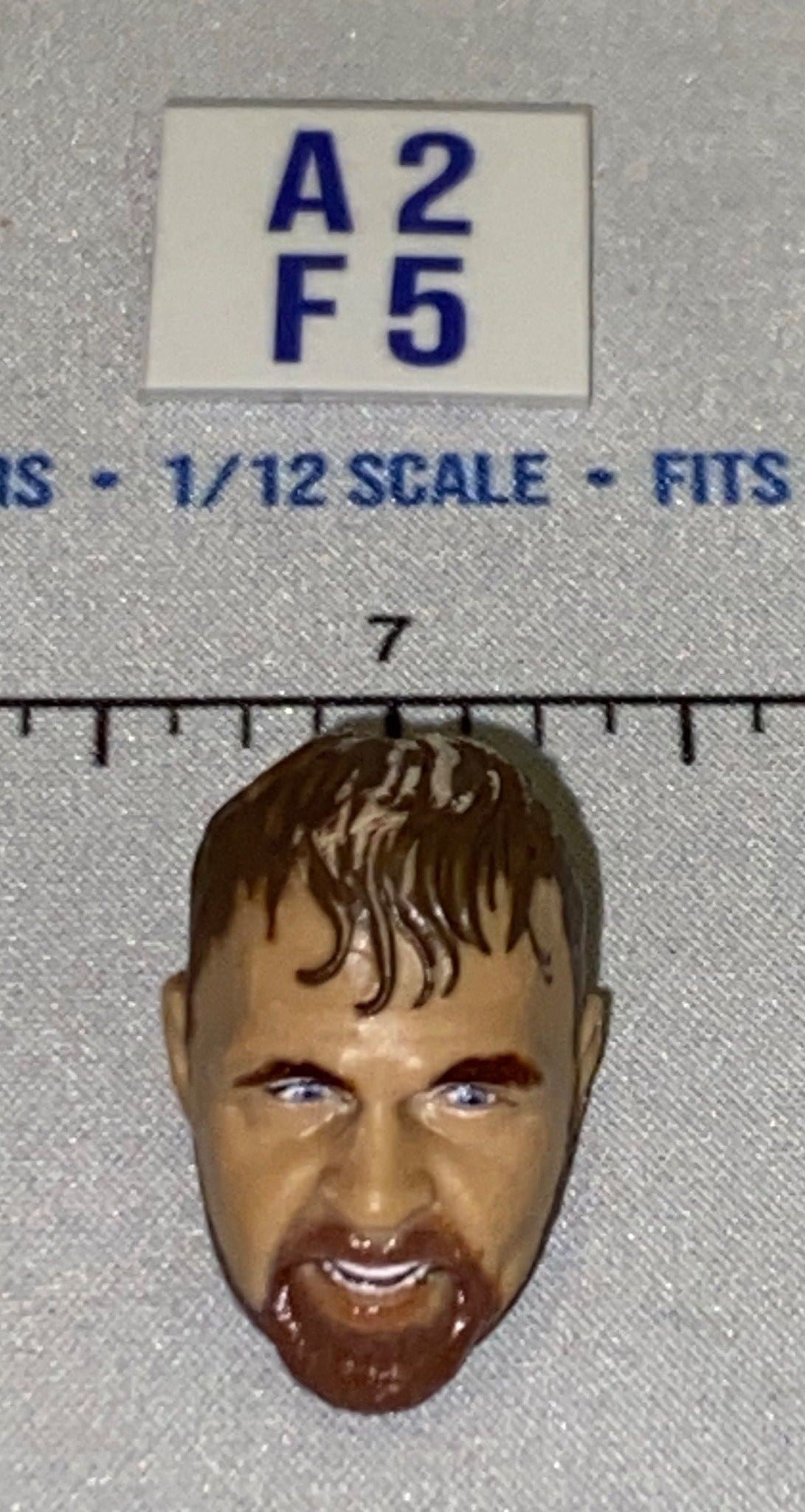 1/12 Scale Male Head Sculpt with Brown Hair and Open Mouth - Mattel WWE