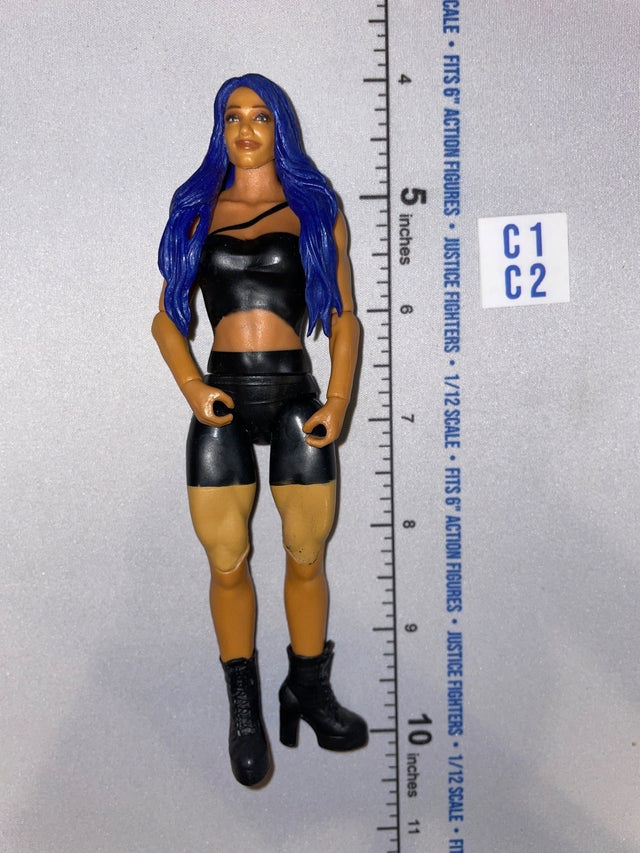 1/12 Scale Modern Era Female Action Figure with Blue Hair - Mattel WWE