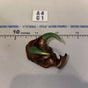 1/12 Scale Fantasy Armored Helmet with Horns - Four Horsemen - Mythic Legions