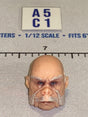 1/12 Scale Alien Ugnaut Head Sculpt - Star Wars Black Series