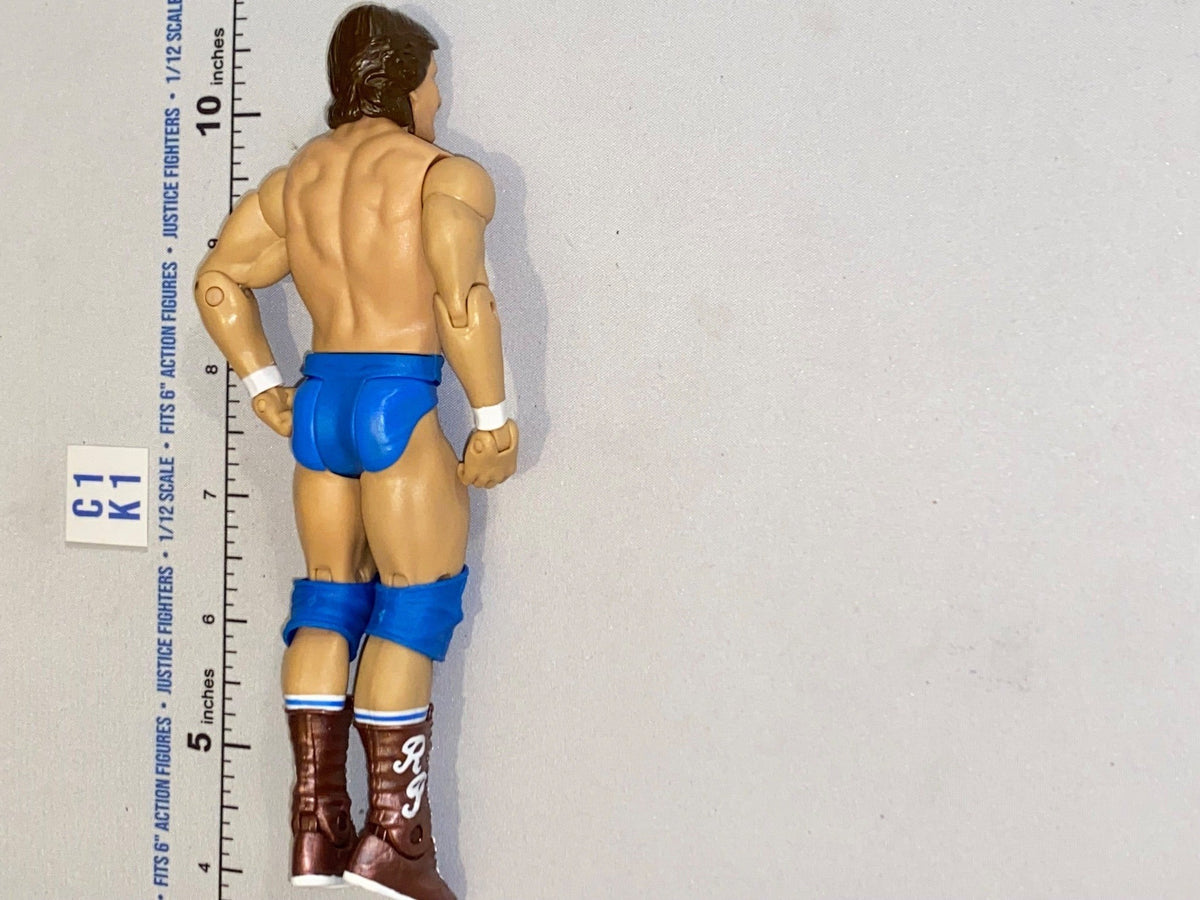 1/12 Scale Modern Era Male Wrestler Action Figure - Mattel WWE - Blue Trunks