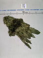 1/12 Scale Modern Era Military Ghillie Suit - GI Joe Classified