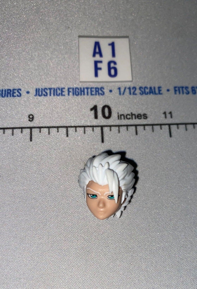 1/12 Scale Female Head Sculpt with White Hair