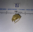 1/12 Scale Fantasy Animal Skull with Jaw - Four Horsemen - Mythic Legions
