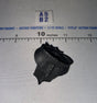1/12 Scale Waist Armor Goblin - Four Horsemen - Mythic Legions
