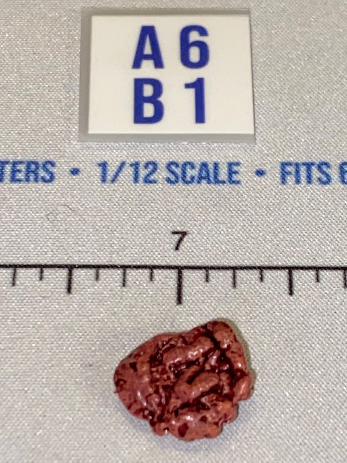 1/12 Scale Horror Genre Human Brain - Diorama Item