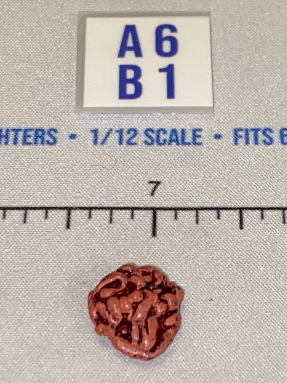1/12 Scale Horror Genre Human Brain - Diorama Item