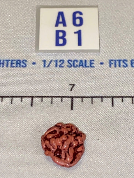 1/12 Scale Horror Genre Human Brain - Diorama Item