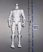 1/12 Scale Action Figure Body - Headless - Marvel Legends