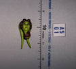 1/12 Scale Hera Syndulla Head Sculpt - Star Wars Black Series