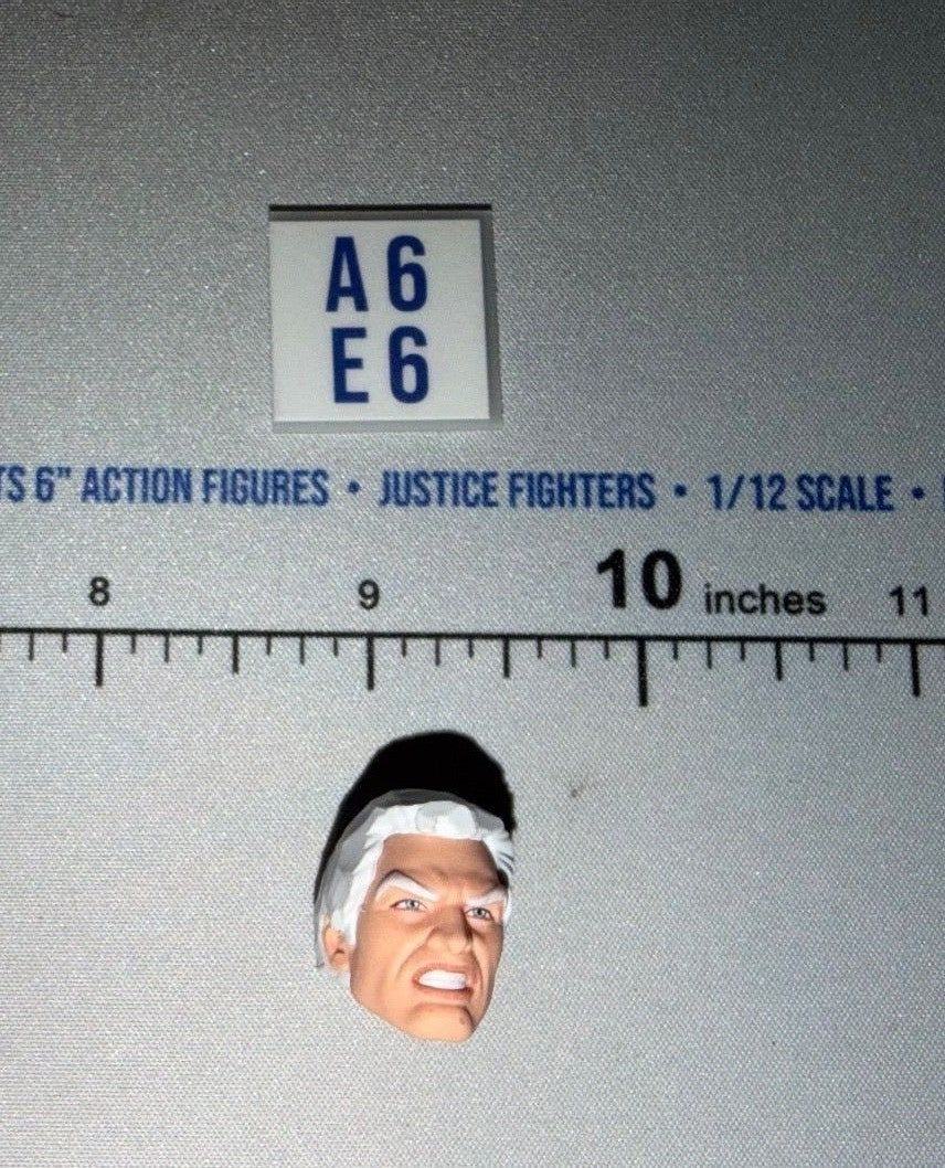 1/12 Scale Male Head Sculpt with White Hair