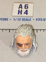 1/12 Scale Male Head Sculpt with Gray Hair, Beard and Eye Patch