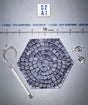 1/12 Scale Medieval Cobblestone Diorama Base - 1/12 Scale WWII German SS Honor Guard Aaron - DID 3R TG80007 DiD DiD