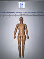 1/12 Scale WWII German Nude Male Figure Body - Panzer Commander Joachim Peiper DiD XD80022