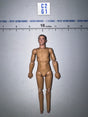 1/12 Scale Nude Figure Body - Panzer Commander Otto Carius - DID XD80027