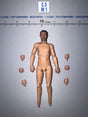 1/12 Scale WWII German Nude Male Figure Body with Interchangeable Hands Set - Russian Sniper – Vasily Zaitsev XR80037